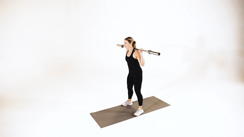 Dumbbell Posterior Fly on Stability Ball view 3