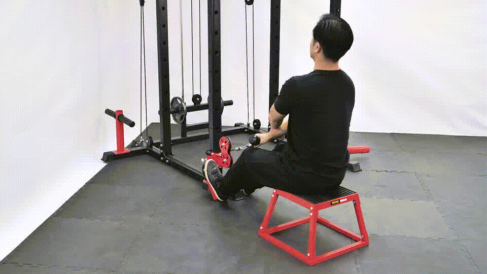 Cable Seated Row  A Strength Exercise