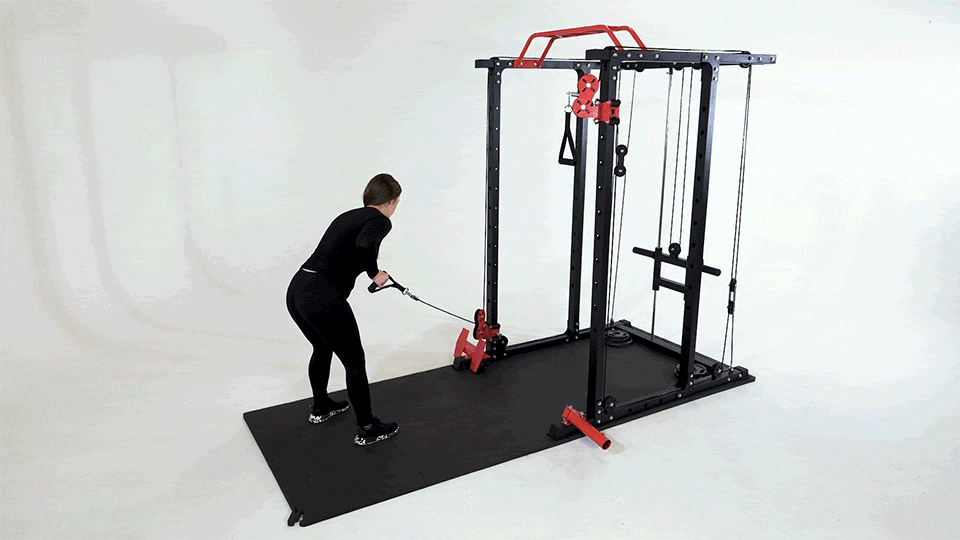 Cable Kickbacks Triceps