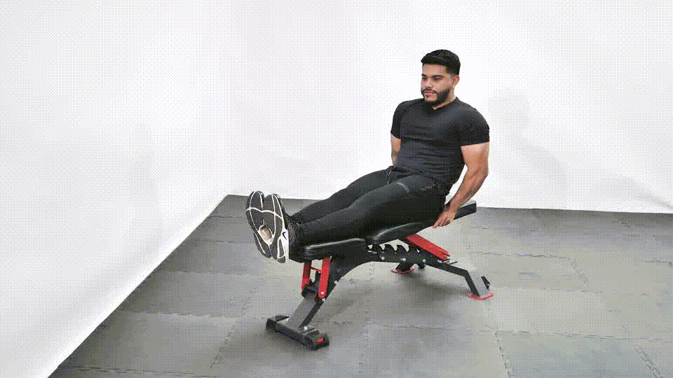Seated Bench Leg Pull-Ins / Flat Bench Knee-ups – WorkoutLabs Exercise Guide
