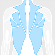 Routine category