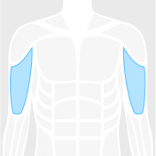 Routine category