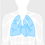 Routine category