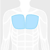Routine category
