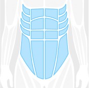 Routine category