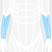 Routine category
