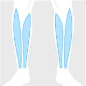 Routine category
