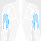 Routine category