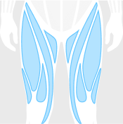 Routine category