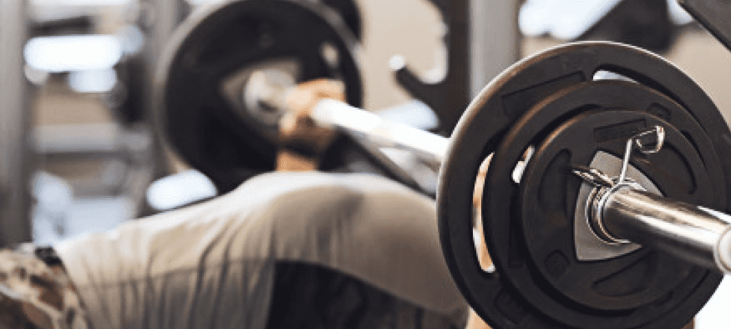 Barbell Workout (3 Day Split)