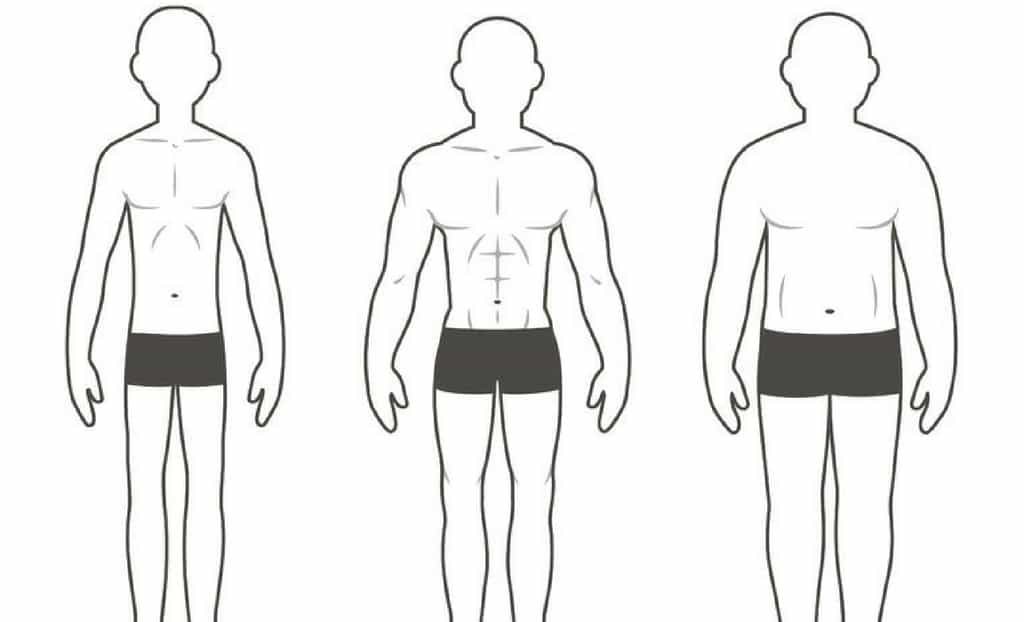 the-three-different-body-types-and-how-they-affect-your-training